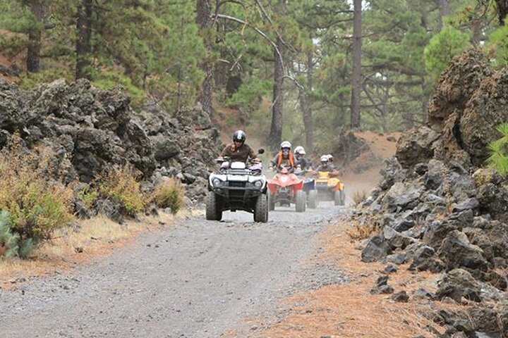 Ruta en quad por el bosque en el sur de Tenerife