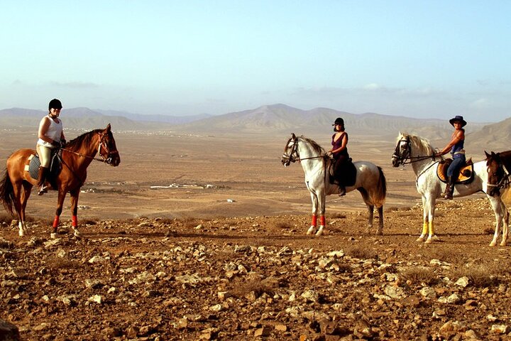 Rutas a caballo en Fuerteventura de 1 o 2 horas, España