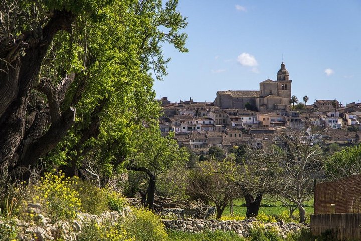 Tour Privado: Pueblos del interior de Mallorca y maravillas escondidas