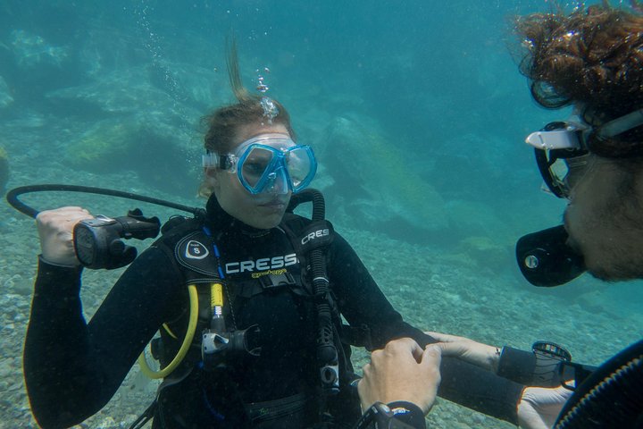 PADI Reactivate, ¡refresca tus habilidades de buceo!