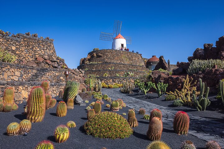 Tour Privado Lanzarote : Descubre las Obras Maestras de César Manrique