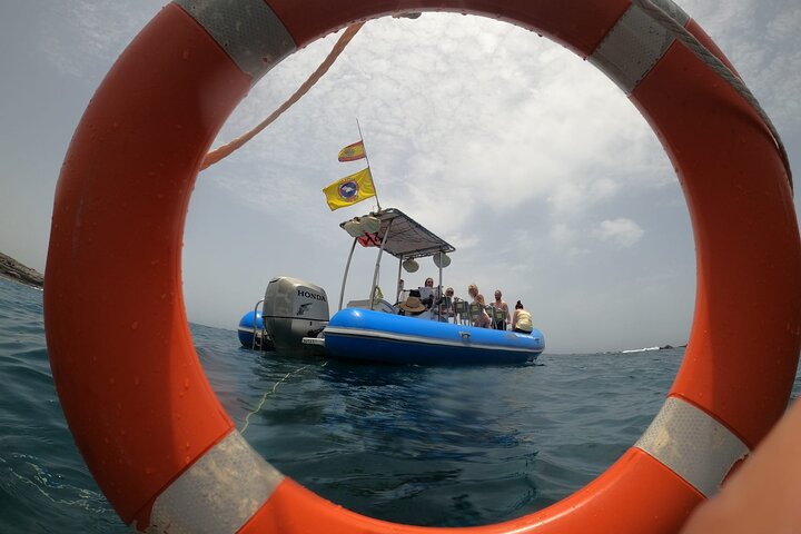 SEA SAFARI, delfines, ballenas, snorkel, snack, bebida, 2 h en lancha privada