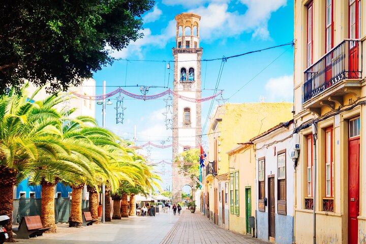 Tenerife Caza del Carroñero y Aspectos Destacados Audio Tour Autoguiado