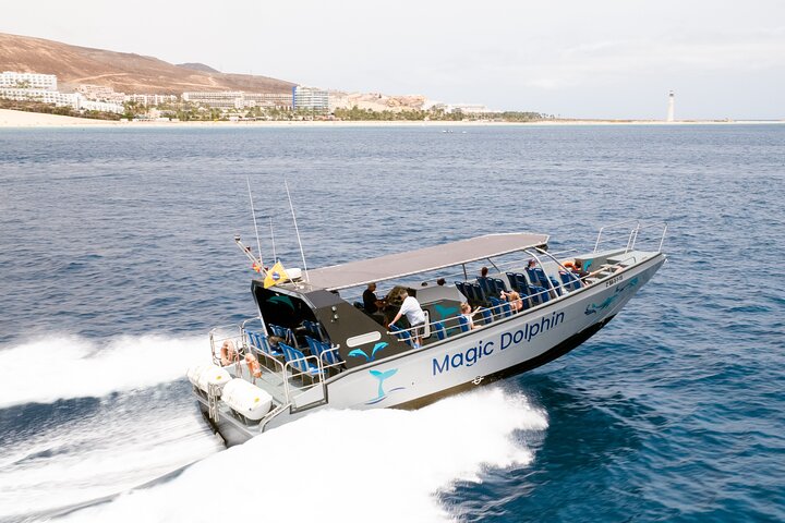 Excursión de 2 horas - Avistamiento de delfines en Fuerteventura