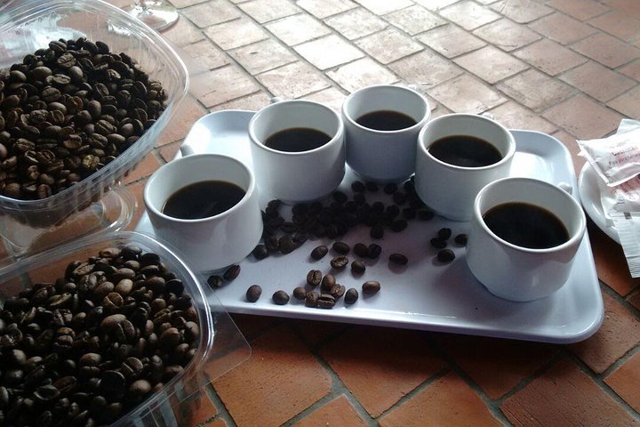 Café y vino: Ruta Norte de Gran Canaria Tour