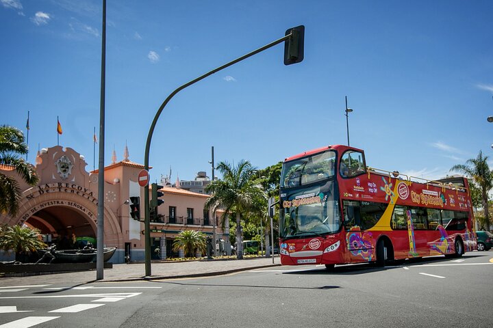 Tour en autobús turístico por Santa Cruz de Tenerife