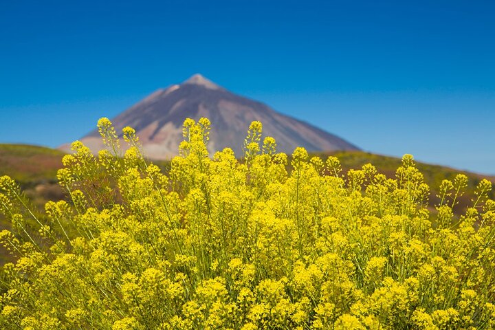 Tour Guiado al Parque Nacional del Teide en Tenerife
