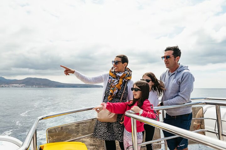Tenerife los Cristianos: ballenas y delfines en ecoyate y parada para nadar