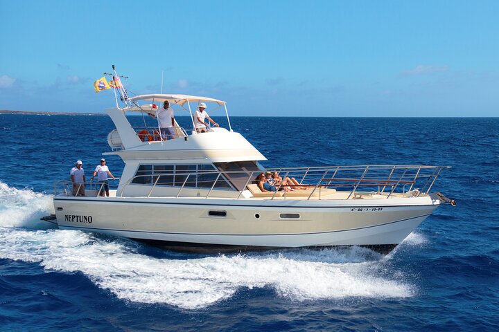 Descubre ballenas en Tenerife: tour en yate con baño y almuerzo