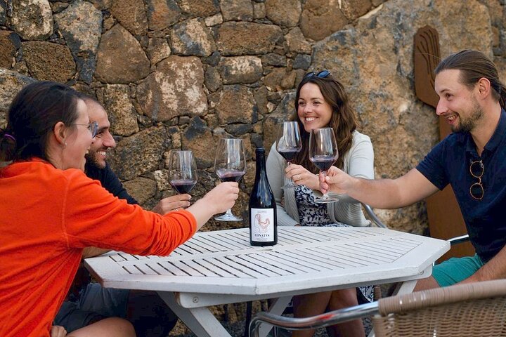 Recorrido por el viñedo con cata del vino y productos locales