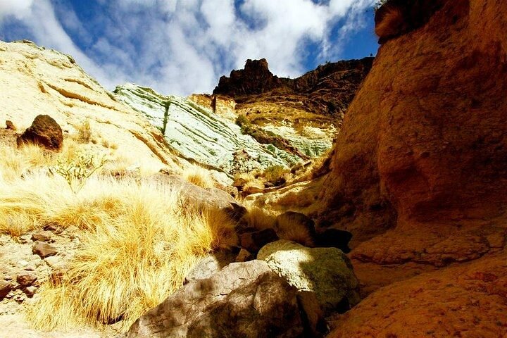 Tour a Mogán, La Aldea y Las Canteras - Tour a la Isla Grande
