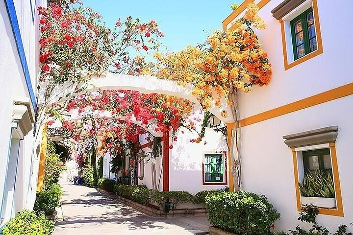 Visita Puerto de Mogán y su mercado con paseo en barco de ida