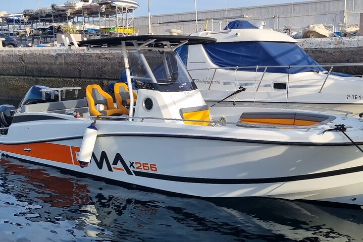 Excursiones en barco en Tenerife Sur