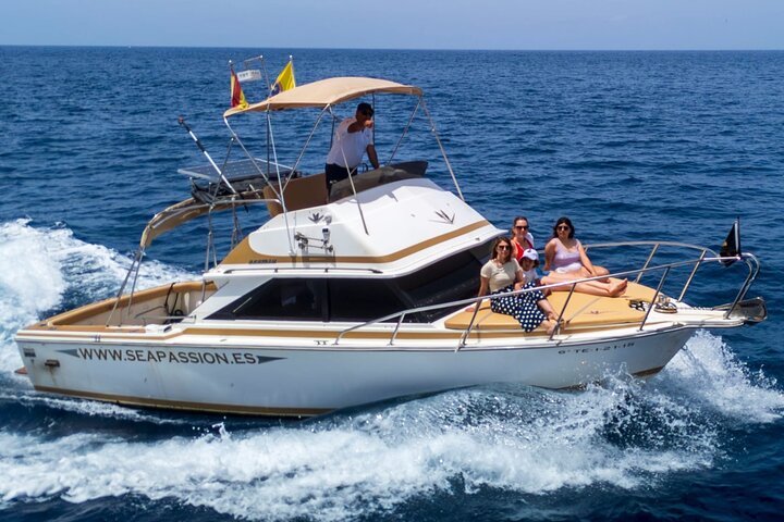 Tour de avistamiento de ballenas y delfines Los Gigantes y Masca en grupos reducidos