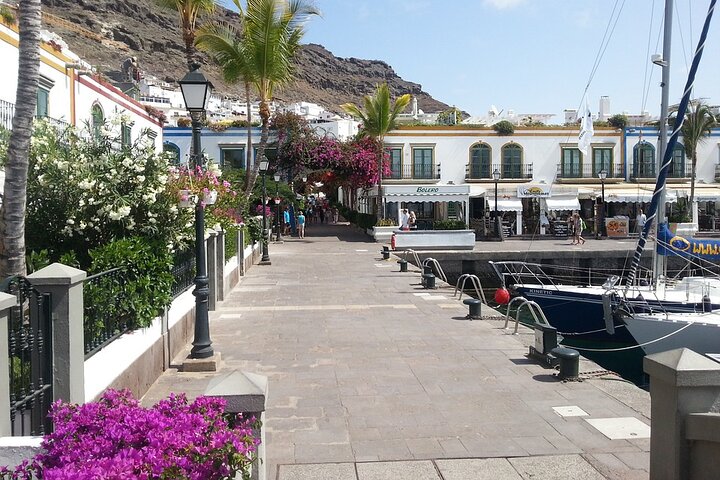 Excursión privada de día completo al puerto de Morgan y la reserva natural de Inagua con recogida en el hotel