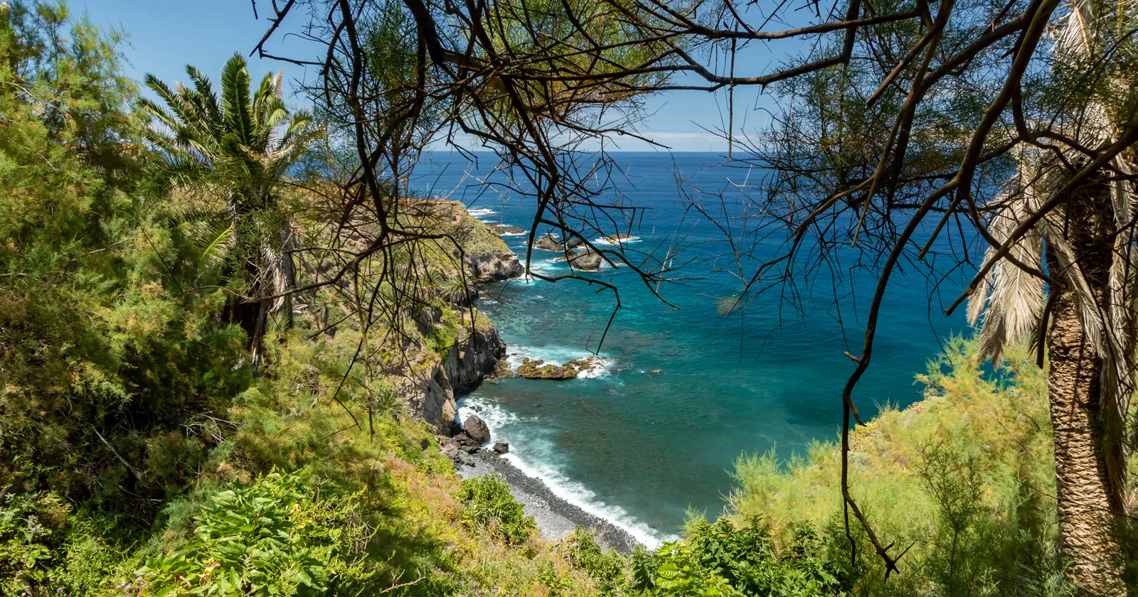 Santa Úrsula