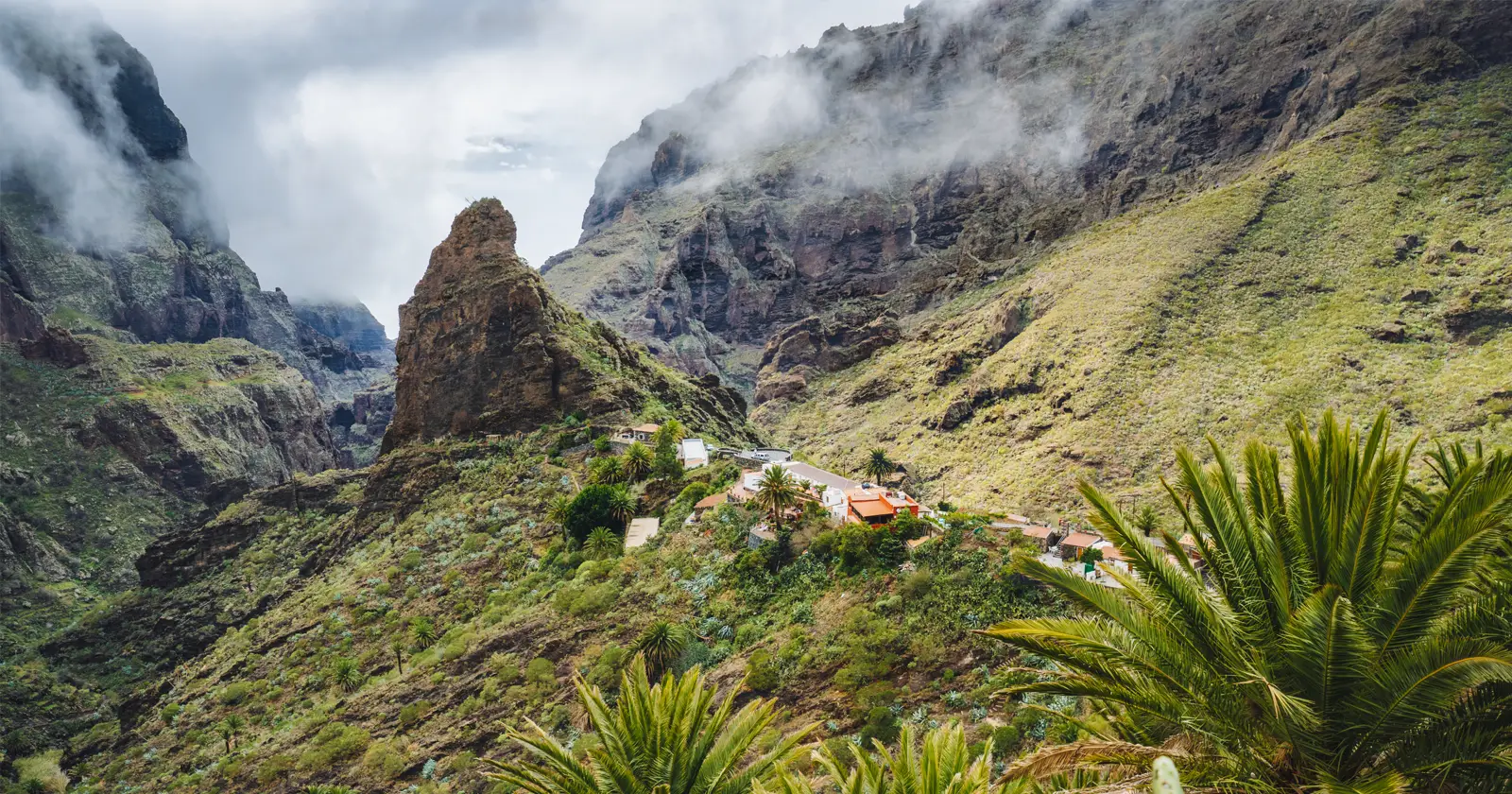 Buenavista del Norte